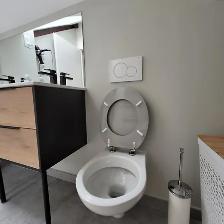 Holiday home 12 Pers-perfect Location Eurexpo, Stade Ol