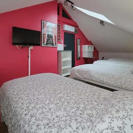 12 Pers-perfect Location Eurexpo, Stade Ol Holiday home