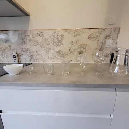 12 Pers-perfect Location Eurexpo, Stade Ol Holiday home *